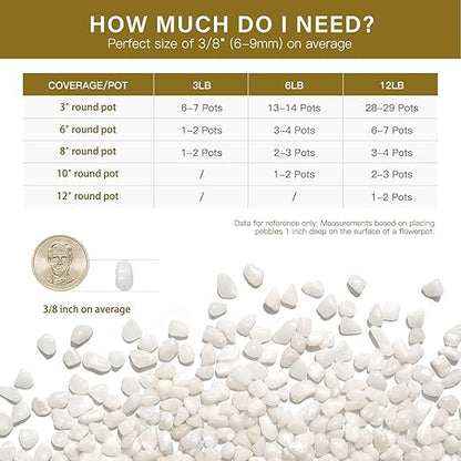 NUPICK 3 lbs Pebbles for Indoor Plants, 3/8 Inch Pea Gravel for Fish Tank, Polished Decorative Rocks for Succulent, Natural River Stones for Vases, Cactus, Landscaping, Bird Bath, Aquarium, White