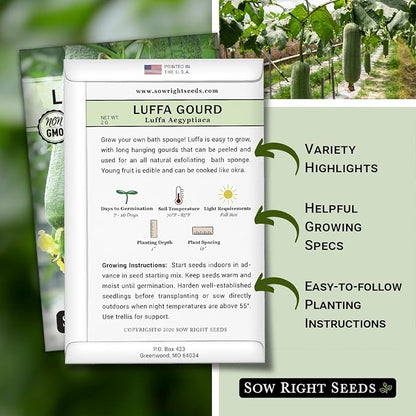 Sow Right Seeds - Luffa Gourd Seed for Planting - Non-GMO Heirloom Packet with Instructions to Plant a Home Vegetable Garden - Grow Your Own Loofah Sponge at Home - Show Off Unique Gourds (3)