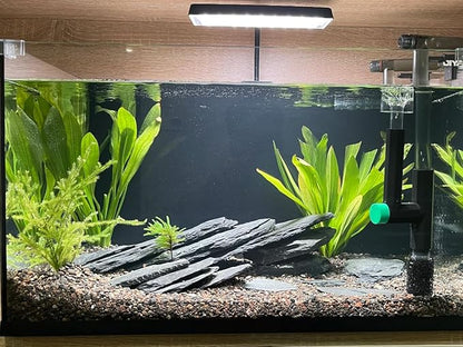 Natural Slate Stone Rocks 2 to 6 inch Aquariums Stone for Aquascaping,Terrariums,Reptile Enclosures,Paludariums, and Gardens-10lb