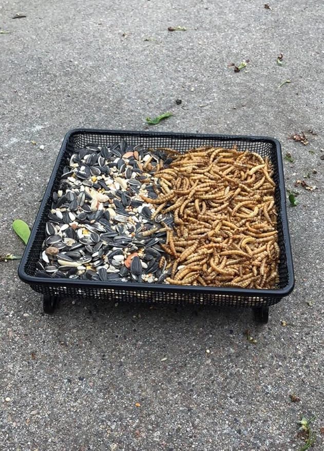 Ground Bird Feeder Tray 8 inches Square Platform Metal Mesh Seed Holder Outdoor Garden Decoration for Attracting Wild Birds