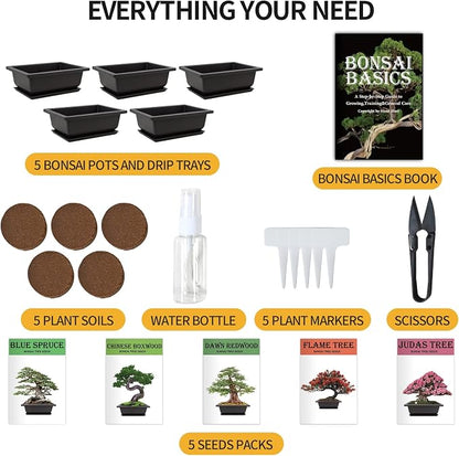 Bonsai Tree Kit with Complete Growing Tools, Grow in Pot Indoor Bonsai Tree Starter Kit, Great Home Gardening DIY Gift for Adult