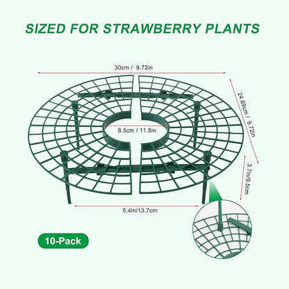 Strawberry Plant Support, 10 Pack, Raised Grid Stand to Keep Strawberries Off the Ground, Strawberry Holder for Garden Beds, Raised Planters & Pots (Round)