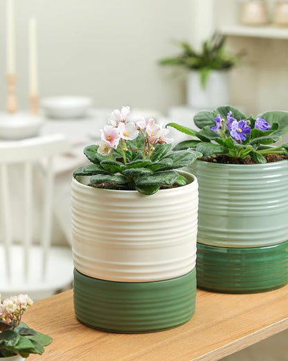 Fayoula Self Watering Pots for Indoor Plants, 6 Inch Ceramic Self Watering Plant Pot, Planter Pot with Wick Rope and Drainage Hole for African Violet Succulent Herbs (White Matte)