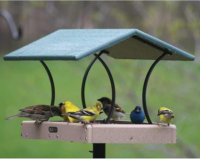 Birds Choice 18X12 Fly-Through Platform