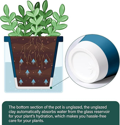 D'vine Dev 4 Inch Design Self Watering Planter for Indoor Plants, Blue Terracotta Pot with Cylinder Glass Cup, Set of 2, 37-Y-A-4