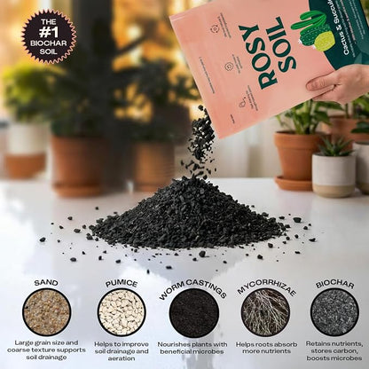 Rosy Soil Cactus & Succulent Potting Mix, 4qt | Organic Succulent Potting Soil, Chunky Fast Draining, Peat-Free, Root Boosting Mix, for AloeVera, Cacti, Indoor Succulents