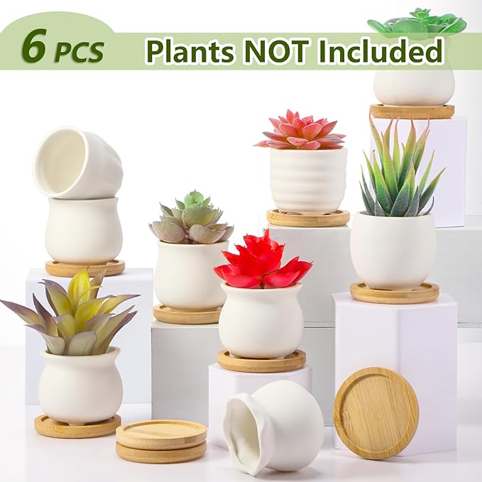 Remerry 6 Pcs Mini Succulent Pots with Bamboo Tray 2.5 Inch White Ceramic Pots Color Your Own DIY Small Planters Containers for Flower Cactus with Drainage Hole for Plant Lover