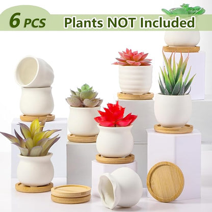 Remerry 6 Pcs Mini Succulent Pots with Bamboo Tray 2.5 Inch White Ceramic Pots Color Your Own DIY Small Planters Containers for Flower Cactus with Drainage Hole for Plant Lover