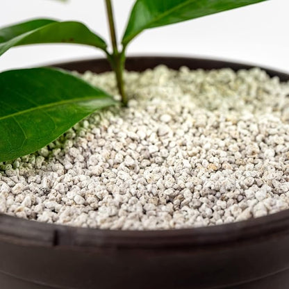 Gardenera Organic Perlite — Medium/Fine Grade Horticultural Soil Amendment for Indoor & Outdoor Container Plants for Drainage Management and Enhanced Growth (3 Quart)
