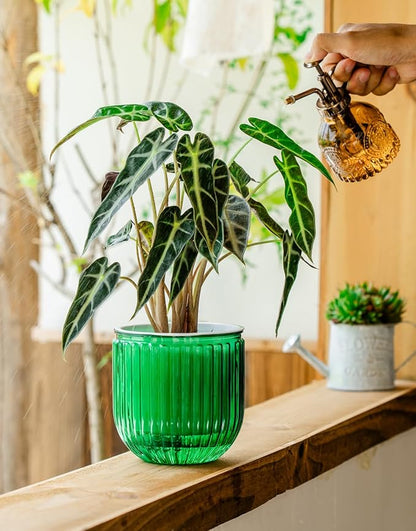 Melphoe Self Watering Pots for Indoor Plants Planter, 6.5/5.3 Inch 2 Pack Planters Self Watering Plant Pots for Flower, Houseplants, Succulent, African Violets and Cactus with Drainage