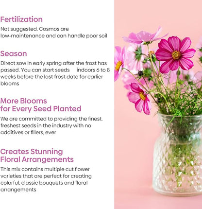 Groundio 7 Varieties Cosmos Seeds Mix, 1 Ounce Over 5000+ Crazy Blend Cosmo Flowers Seed for Planting, Open Pollinated, Non-GMO, Heirloom (Daydream, Gloria, Picotee, Purity, Radiance, Pinkie, Sulphur)