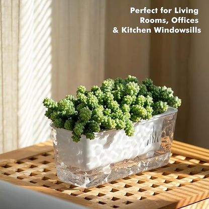 Self Watering Pots for Indoor Plans, 4 Packs Window Boxes Planters Rectangle Self Watering Planter 11 in Rectangular Clear Plant Pots Long Herb Windowsill Planter Flower Box Succulent Planters