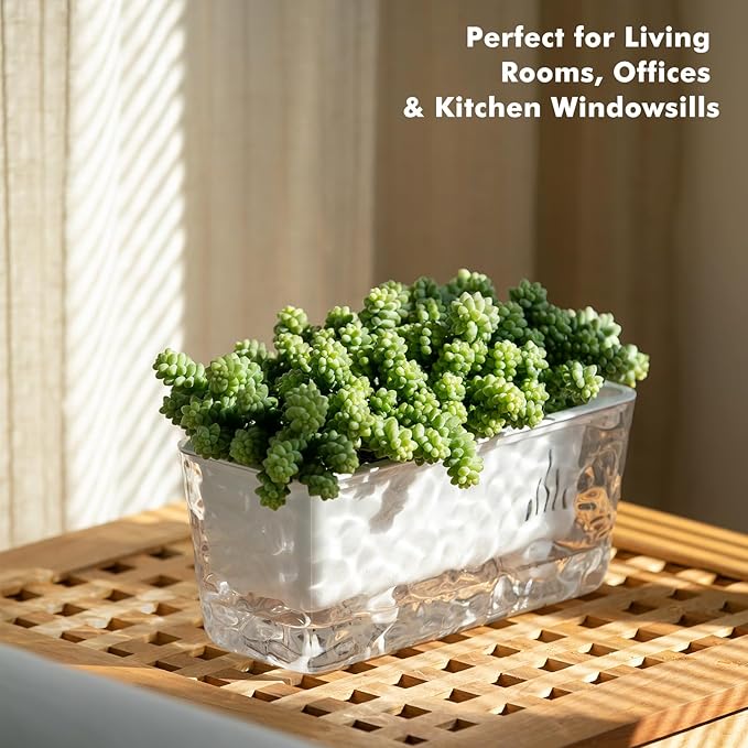 Self Watering Pots for Indoor Plans, 2 Packs Window Boxes Planters Rectangle Self Watering Planter 11 in Rectangular Clear Plant Pots Long Herb Windowsill Planter Flower Box Succulent Planters