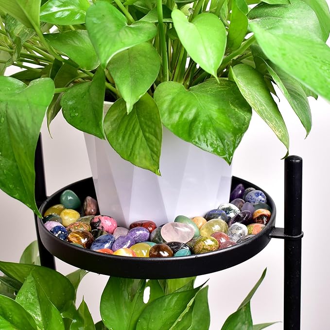 Polished Stone Set Tigers Eye Crystals, 0.8" Handpicked Tumbled Gemstones Rocks, Pebbles for Reiki, Chakra, Healing, Home Decor