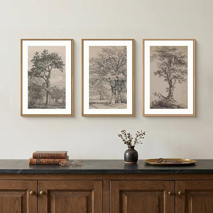 KAIRNE Vintage Tree Sketch Framed Canvas Wall Art Set, Antique Tree Drawings Wall Decor, Retro Forest Art Prints, Modern Nature Landscape Artwork for Living Room, Bedroom, Farmhouse, Office-16 x24 x3