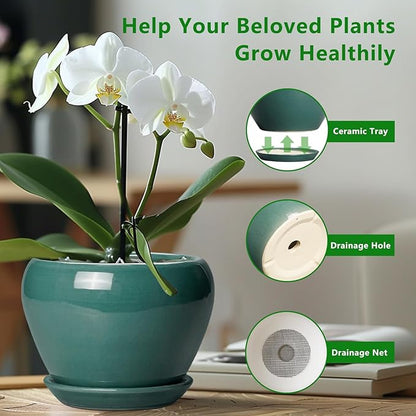 Indoor Plant Pot 6 Inch - Ceramic Planter with Drainage Hole and Saucer, Modern Decorative Indoor Planter for Herb Succulent Plants, Garden Home Decor, Gifts for Plant Lovers, Green