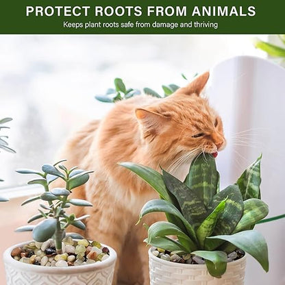 NUPICK 12 lbs Pebbles for Indoor Plants, 3/8 Inch Pea Gravel for Fish Tank, Polished Decorative Rocks for Succulent, Natural River Stones for Vases, Cactus, Landscaping, Bird Bath, Aquarium, Colorful