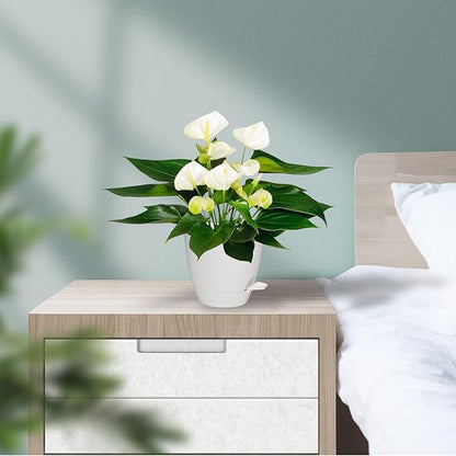 Plant Pots, 7/6.5/6/5.5/5 Inch Self Watering Planters, Pots for Indoor Plants with Drainage Hole for Succulents, African Violet (Matte White)