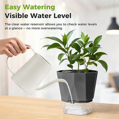5 Pack Self Watering Pots for Indoor Plants, 5/6.7/8.4 in Self Watering Planters African Violet Self Watering Clear Pots for Plants Herb Orchid Flower Houseplant Pots, Dark Grey