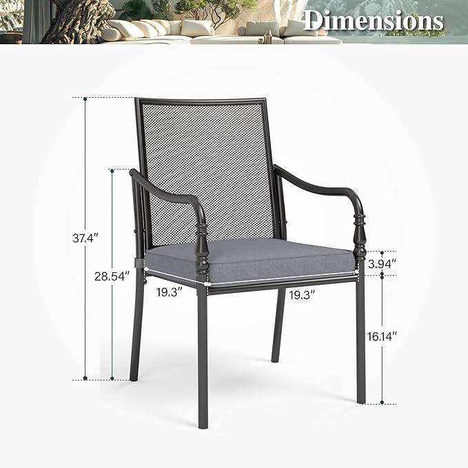 HERA'S HOUSE Outdoor Patio Chairs Set of 2, Garden Lawn Backyard Metal Dining Chairs with Arms and Seat Cushions