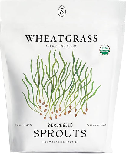 Organic Wheatgrass Seeds (16 oz) – Non-GMO, Heirloom Seeds for Sprouting and Microgreens