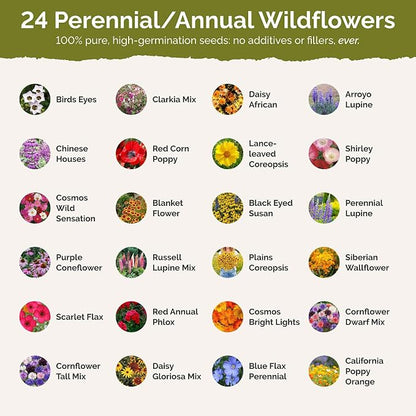 Eden Brothers Colorado Wildflower Mixed Seeds for Planting, 1 lb, 480,000+ Seeds with Cornflower, Lupine | Attracts Pollinators, Plant in Spring or Fall, Zones