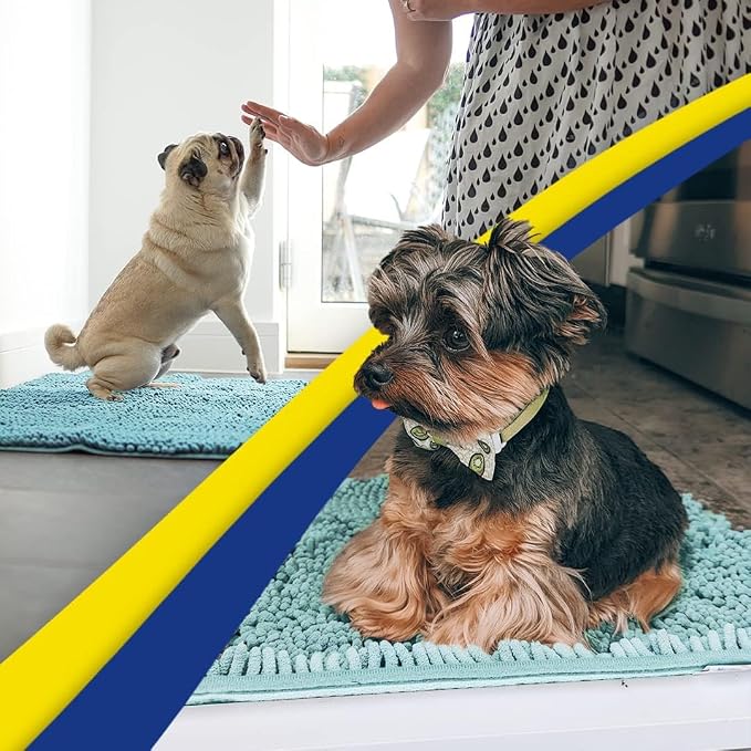 Muddy Mat® | Super Water Absorbent Door Mat Indoor, Microfiber Quick Dry Chenille Entryway Rug, Slip Resistant Front Door Mat, Indoor Mats for Entryway, Machine Washable Pet Rug, Sea Green 32" x 44"