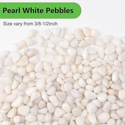 Pulovin 10 lbs White Garden Pebbles for Plants, 3/8" Small Plant Rocks for Pots Indoor, Decorative Pea Gravel for Succulents, Bamboo, Terrarium, Landscaping, Garden