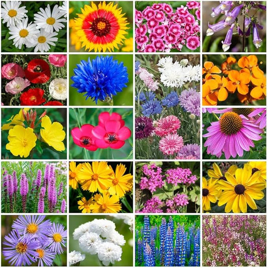 Grow Your Own Vibrant Annual and Perennial Wildflower Garden Seeds Mixture, Varieties for Pollinators and Spring Gardens - Northeast Regional Mix, 10 lbs