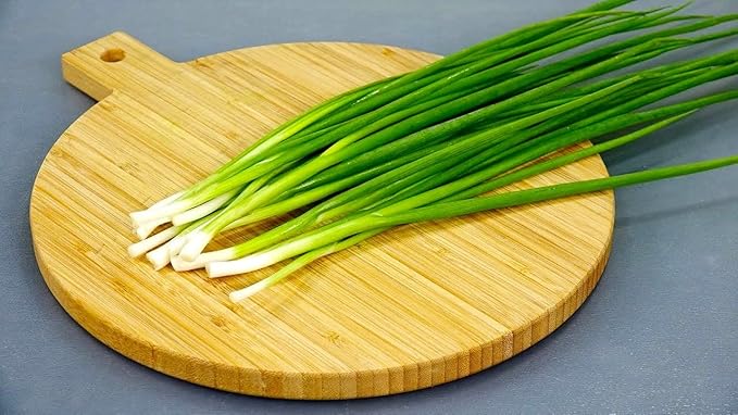 Seeds Japanese Green Onions Tokyo 300+ Seeds for Planting Bunching Onions Perennial