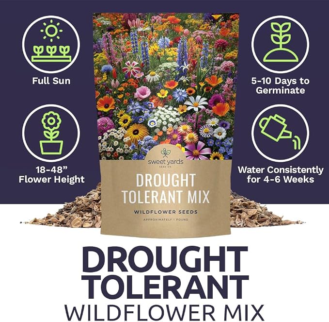 Drought Tolerant Wildflowers Mix – Bulk 5 Pounds – Over 600,000 Open Pollinated Non-GMO Seeds – 21 Different Dryland Species