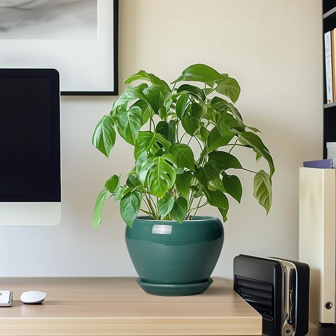 Indoor Plant Pot 6 Inch - Ceramic Planter with Drainage Hole and Saucer, Modern Decorative Indoor Planter for Herb Succulent Plants, Garden Home Decor, Gifts for Plant Lovers, Green