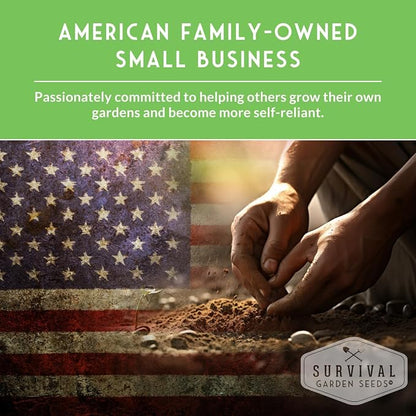 Tri Color Blend Bush Bean Seeds for Planting - Mix of Green, Yellow Wax, & Purple Beans with Stringless Pods - 3 Non-GMO Heirloom High Yield Varieties - Survival Garden Seeds (2 Packs)