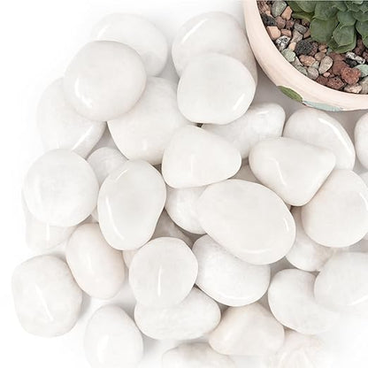 4lb White River Rocks for Plants, 1-3 Inch Pebbles for Indoor Plants, Polished Garden Rocks Outdoor Landscaping, Decorative Stones for Vases, Succulents, Aquarium, Walkways