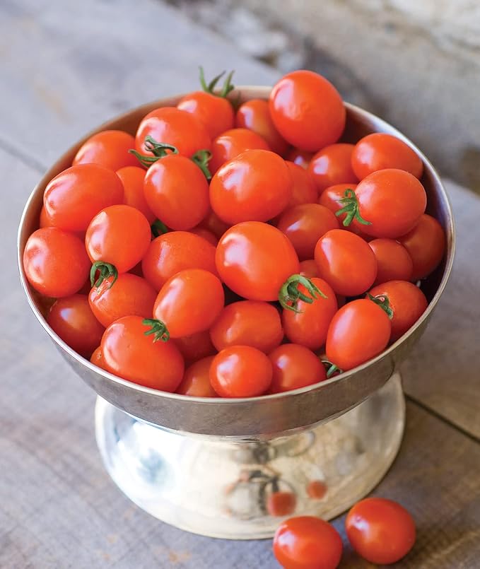 Burpee Napa Grape Tomato Seeds – Sweet Grape Tomato Variety for Home Garden Growing, 30 Non-GMO Seeds