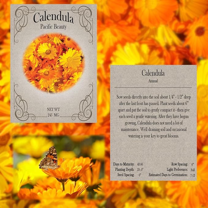 Flower Seed Set - Flower Varieties of Non-GMO & Heirloom Premium Seeds for Planting - Sunflower, Marigold, Lavender, and More! (20, Set 1)