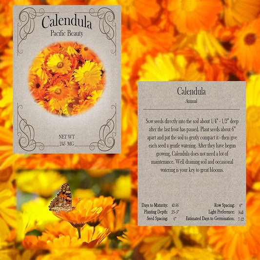 Flower Seed Set - Flower Varieties of Non-GMO & Heirloom Premium Seeds for Planting - Sunflower, Marigold, Lavender, and More! (20, Set 1)