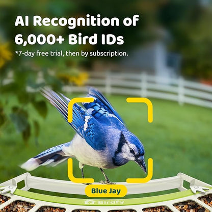 Birdfy Smart Bird Feeder with Camera, Durable Metal Bird Feeders for Outdoors, Auto-Detect & Record HD Videos, Instant Alerts & Live View, Solar Powered, Weatherproof for Backyard, Ideal Gift for Mom