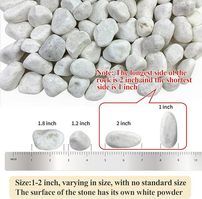 40 lbs White Rocks for Landscaping, 1-2 Inch White Gravel. Decorative Pebbles Stones for Plants, Vases, Craft and Garden