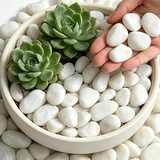 6 lbs Natural White River Rocks, 1-2 Inch Natural Polished Pebbles for Indoor Plants, Decorative Stones for Vase Filler, Aquarium, Succulent, and Outdoor Garden Landscaping