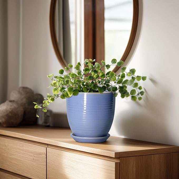 6 Inch Ceramic Pots for Plants - Ceramic Plant Pots with Drainage Hole and Saucer, Flower Pot for Indoor Plants, Round Modern Planter, Apartment Decor, Housewarming Gifts, Blue-Purple