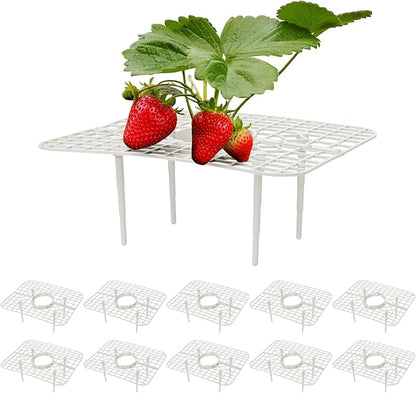 IUIBMI 10 Pack Strawberry Supports Strawberry Holder Strawberry Growing Frame Strawberry Plant Support Strawberry Growing Racks Strawberry Plant Protectors Stand with 4 Sturdy Legs for Garden