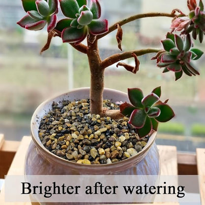 FANTIAN 5 lbs Aquarium Gravel, Pea Gravel for Fish Tank,1/4 Inch Decorative River Rocks for Aquarium Succulent Vase Plant Soil Cover and Outdoor Landscaping