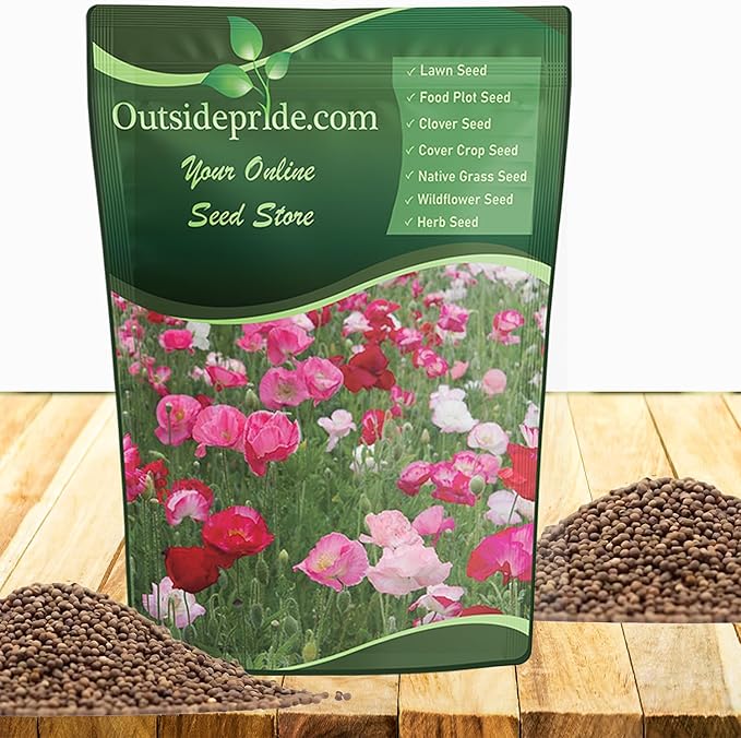 Outsidepride Shirley Poppy Seeds for Planting - 1 lb Annual, Drought-Tolerant & Easy to Grow Wildflower Seeds with Vibrant Mix Blooms for Landscaping, & Pollinator Garden