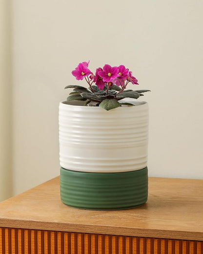 Fayoula Self Watering Pots for Indoor Plants, 6 Inch Ceramic Self Watering Plant Pot, Planter Pot with Wick Rope and Drainage Hole for African Violet Succulent Herbs (White Matte)