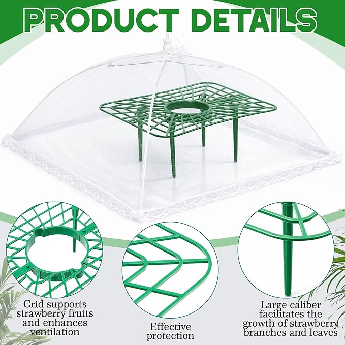 1 Sets Square Strawberry Plant Support with Mesh Plant Cover, Strawberry Growing Kit with Iron Nails for Garden Vegetables Keep Berries Clean