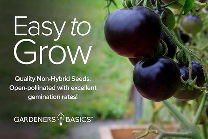 Gardeners Basics, 5 Rare Tomato Seeds for Planting Variety Pack Heirloom Tomato Seeds, Cherokee Purple, Black Krim, Pineapple, Green Zebra, Black Cherry, Determinate and Indeterminate & More, Non GMO
