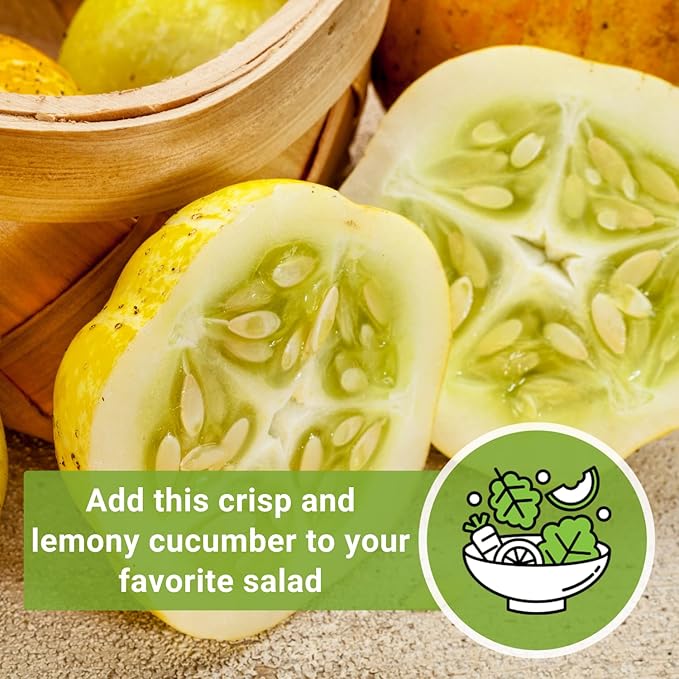 Sow Right Seeds - Lemon Cucumber Seeds for Planting - Non-GMO Heirloom Seeds with Instructions to Plant and Grow a Home Vegetable Garden - Unique Round Variety with Melon Flavor for Outdoors (4)