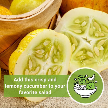 Sow Right Seeds - Lemon Cucumber Seeds for Planting - Non-GMO Heirloom Seeds with Instructions to Plant and Grow a Home Vegetable Garden - Unique Round Variety with Melon Flavor for Outdoors (4)