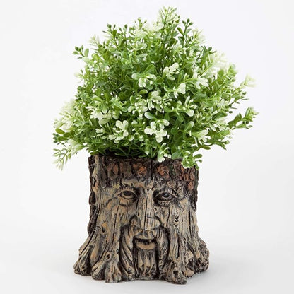 Bits and Pieces - Tree Face Garden Planter - Durable Polyresin Indoor-Outdoor Urn for Plants - Forest Inspired Whimsical Garden Décor
